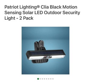 Patriot Lighting  Clia Black Motion Sensing Solar LED Outdoor Security Light - 2 Pack