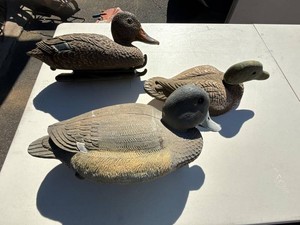 Mixed Waterfowl Hunting Decoys Mallard Hen Diver & Hen Duck Decoys
