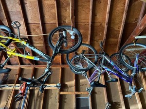 Assorted NEXT & Roadmaster BMX Mountain Bicycle Lot See Photos