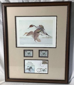 Pintail Duck First of Nation by Michelle Cascella  and Italian Habitat Conservation Stamp Framed Collection