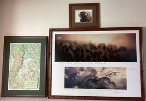 Western Wilderness Wall Art Collection