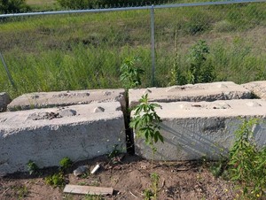 Concrete Barrier Blocks (Lot of 4)