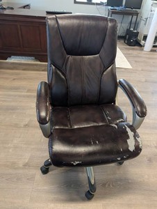 Executive Office Chair