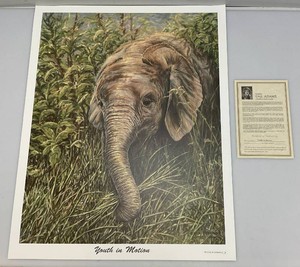 Gail Adams Youth In Motion Unframed Elephant Print 23 x 29