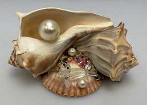 Unique Vintage Shell Art With Swarovski Crystal Seal 3.5 x 6