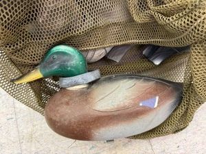 Duck Decoys