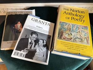Literary Books Lot Norton Anthology Granta 104 Siri Hustvedt