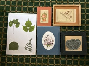 Set of 5 Framed Botanical Floral Prints Mixed Wall Art Decor