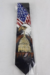 Eagle and American Flag Necktie in Protective Sleeve