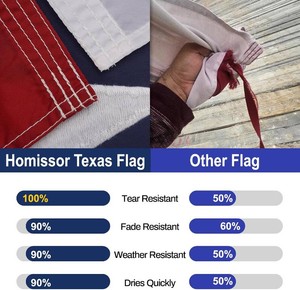 Homissor Texas Flag 2.5X4 TX State Flags - Embroidered Sewn Heavy Duty 210D Oxford Nylon Banner Vivid Color - Brass Grommets and 4 Stitch Hemming USA