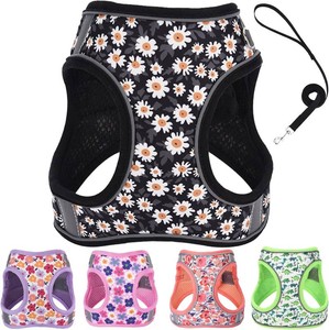 XS Dog Harness and Leash Set, Step in Dog Harness No Pull for Walking Running Training, Puppy Essentials for Dogs Cat Bunny, Adjustable Reflective Dog Vest Harness. (Black, XS)