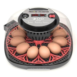 $30 12-24 Egg Incubator incubators for Hatching Eggs  Humidity Display, Egg Candler, Automatic Egg Turner, for Hatching Chickens Duck Quail Parrot