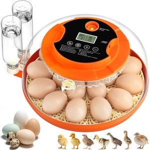 $60 18 Egg Incubators for Hatching Eggs, Automatic Egg Turning and Humidity Control Incubator for Hatch Chicken Duck Quail Pigeon Pheasant Partridge Home Classroom Lab-