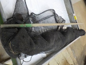 Minnow Net...