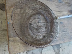 Fish Net...
