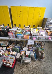 Pick 50 chapter books