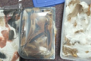 art supplies feux feathers and other materials with bags