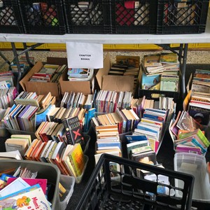 Pick 50 chapter books