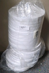 lot of 24 10-in foam discs
