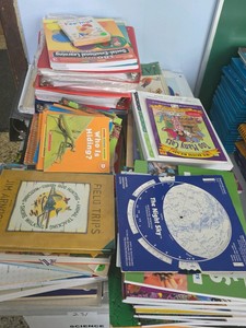 science curriculum