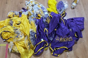 Vikings flag football set
