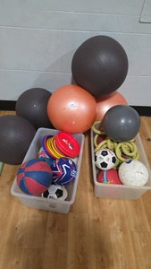 assortment of stability balls soccer balls dodgeballs frisbees