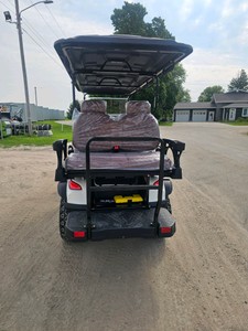2026 - Unused - 6 SEATER GOLF CART - SDLC100