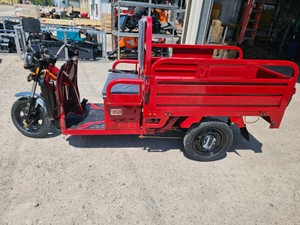 2026 - Unused - DUMP BED TRIKE