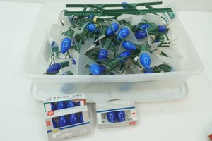 tote of working large blue Christmas lights