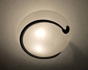 Contemporary Frosted Glass Flush Mount Ceiling Light