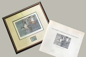 LR - Limited Edition 1983 North Carolina Duck Stamp Print by Richard Plasschaert
