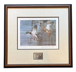 LR - 1983 North Carolina Limited Edition Framed Duck Stamp Print by Richard Plasschaert