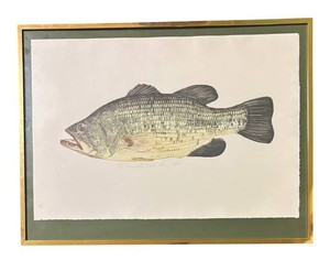LR - Largemouth Bass Limited Edition Print by Larry Crawford
