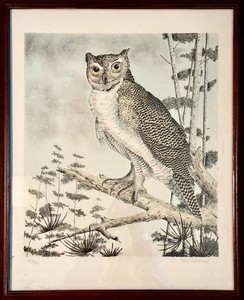 O - Framed Owl Print - Roth Peppler Signed 278300