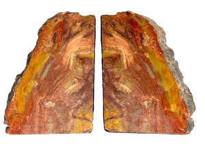 Vintage Petrified Wood Bookends Fossil Specimen Pair