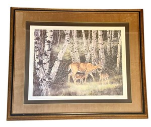 BR1 - Framed Deer in Aspen Print by Lori M. Nass