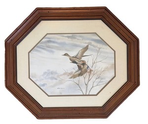 Original Watercolor D Smith Duck Study Framed