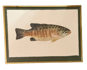 Framed Smallmouth Bass Signed & Numbered Print by Amy Pawlak 24200