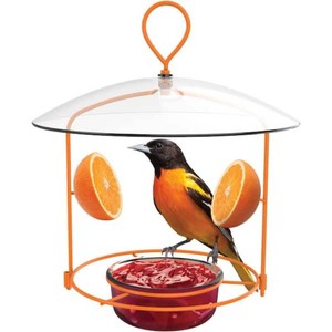 Natures Way Oriole Wire Feeder 34 Cup