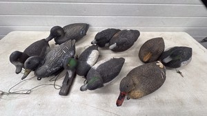 10 Duck Decoys