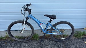 Tess 24 Bike