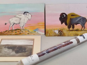 Assorted Buffalo ArtworkPhoto & Wall Sticker