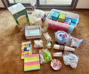Large Lot of Disposable PicnicEntertaining Supplies