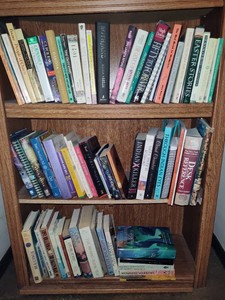 Huge Lot of Assorted Native American Themed Books (Lot #2)