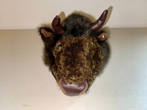 BuffaloBison Cap