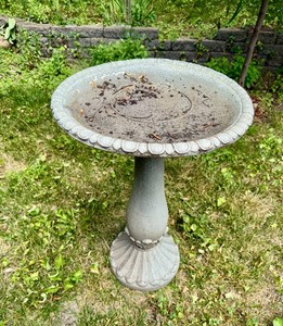 Birdbath