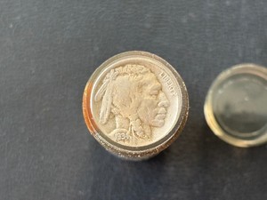 Buffalo Nickels