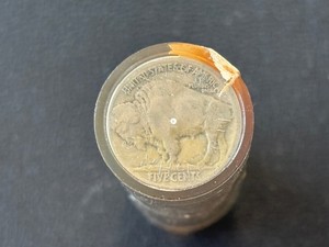 Buffalo Nickels