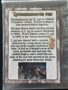 Tyrannosaurus Rex Bone Fragment