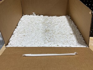 Plastic Straws Individually Wrapped 3000 Count